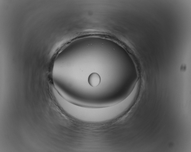 X0000110711357200906261421