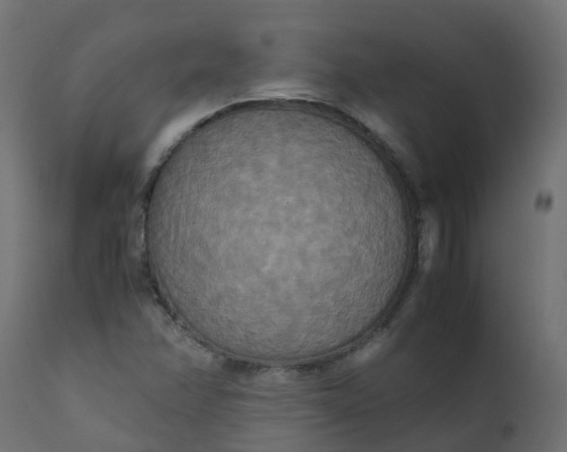 X0000110711358200906261421
