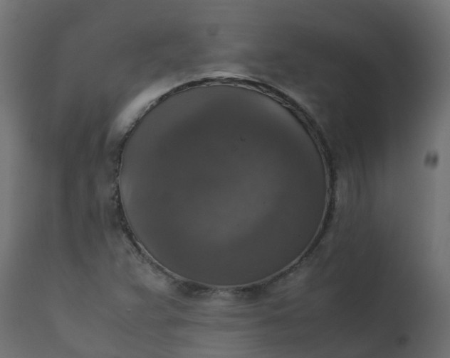 X0000110711359200906261421