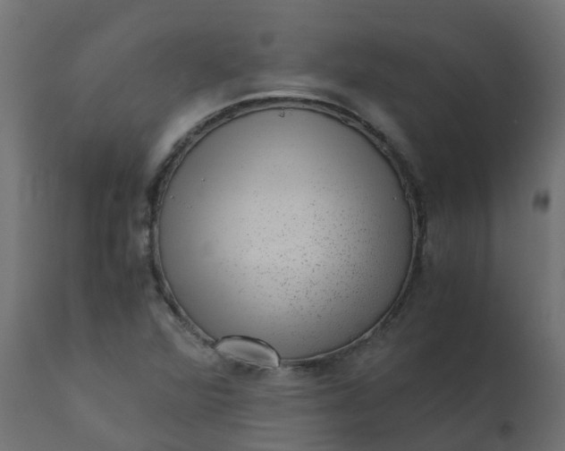 X0000110711360200906261421