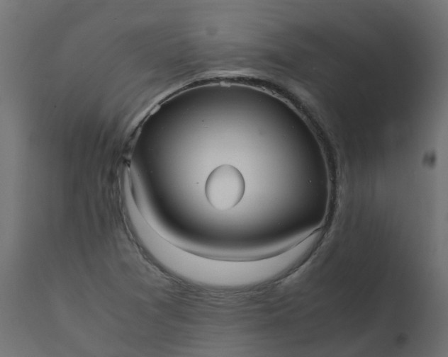 X0000110711361200906261421