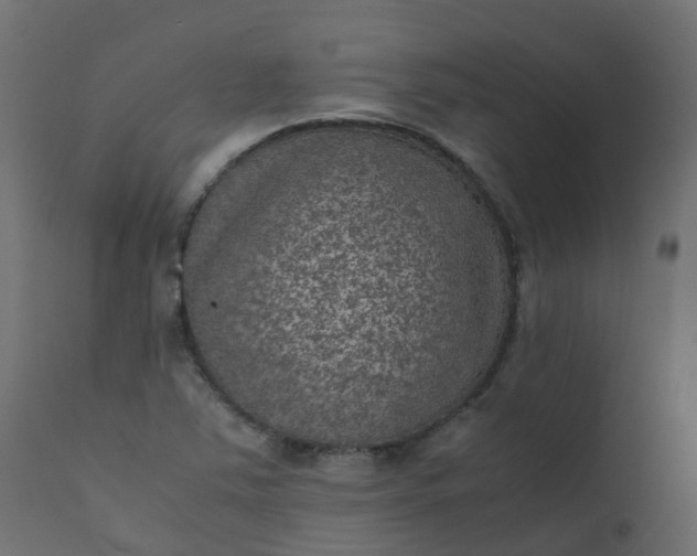 X0000110711363200906261421