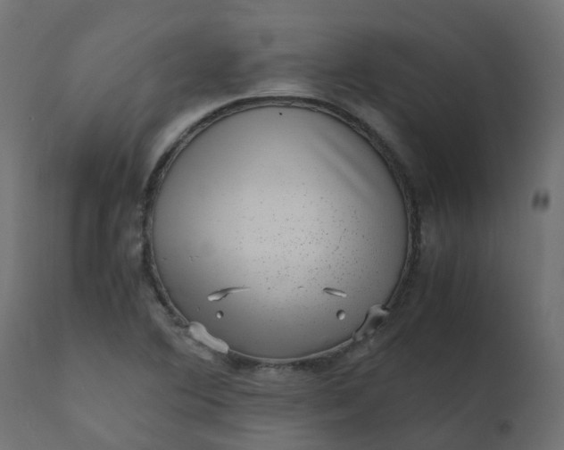 X0000110711364200906261421