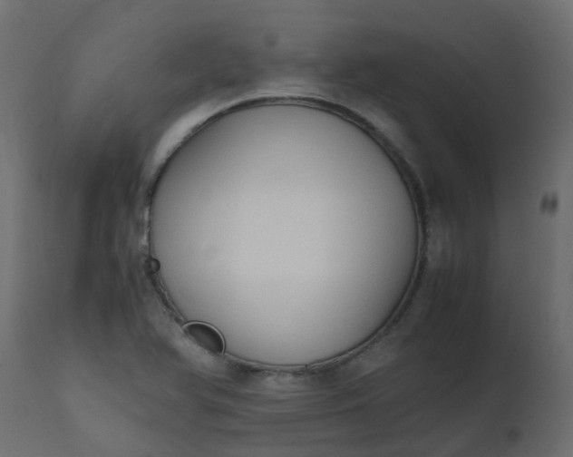 X0000110711366200906261421