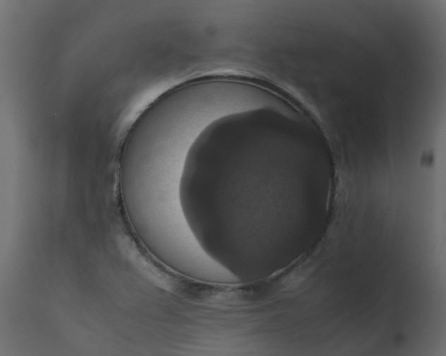 X0000110711367200906261421