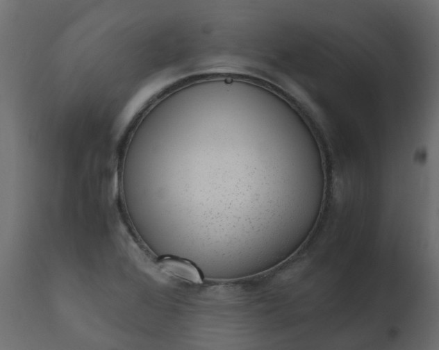 X0000110711368200906261421