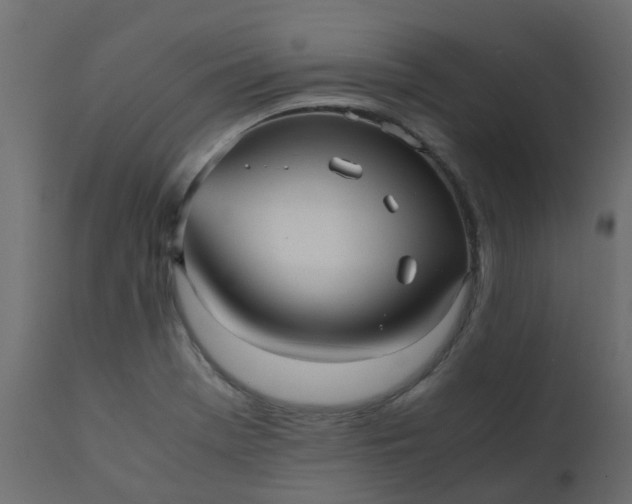X0000110711369200906261421