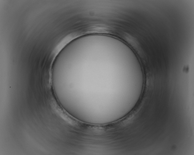 X0000110711370200906261421
