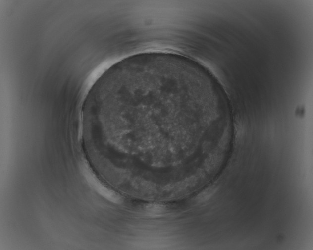 X0000110711371200906261421