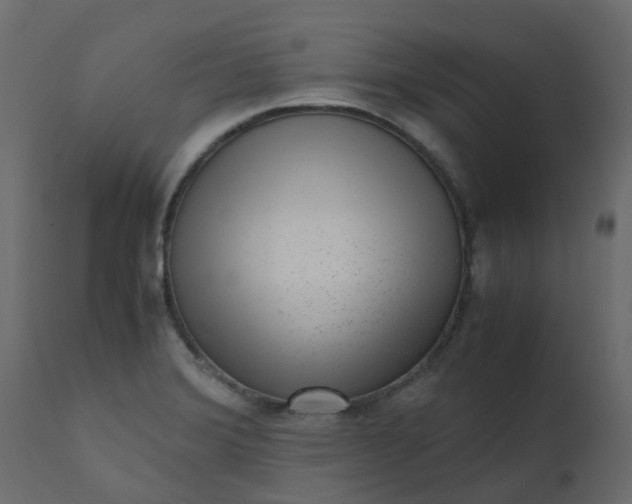 X0000110711372200906261421