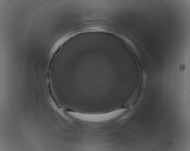 X0000110711373200906261421