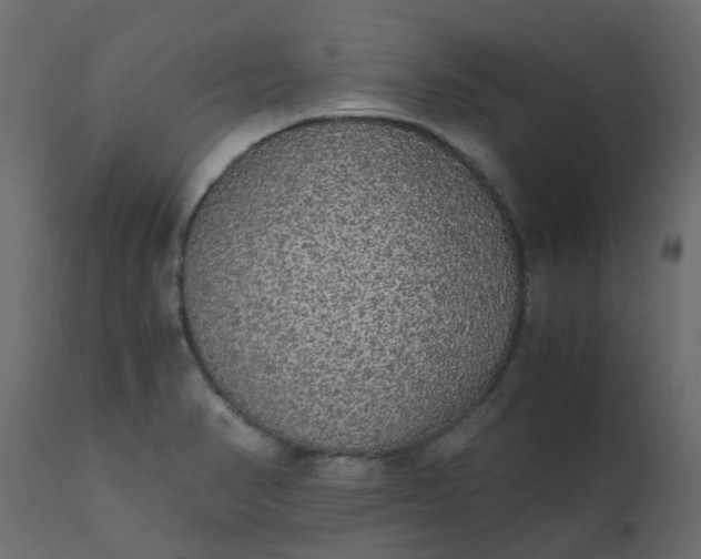 X0000110711374200906261421