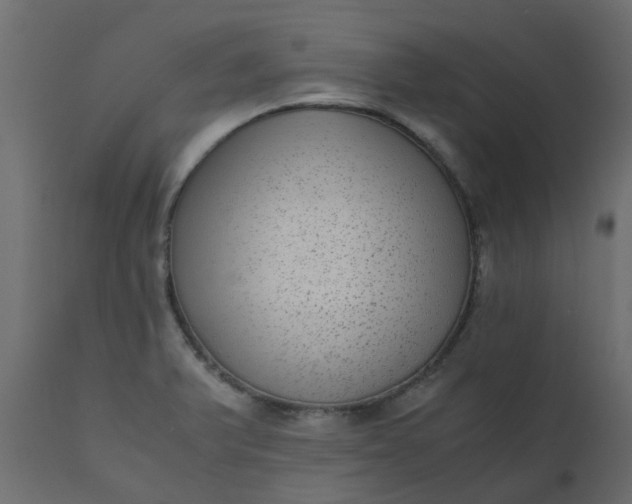 X0000110711375200906261421