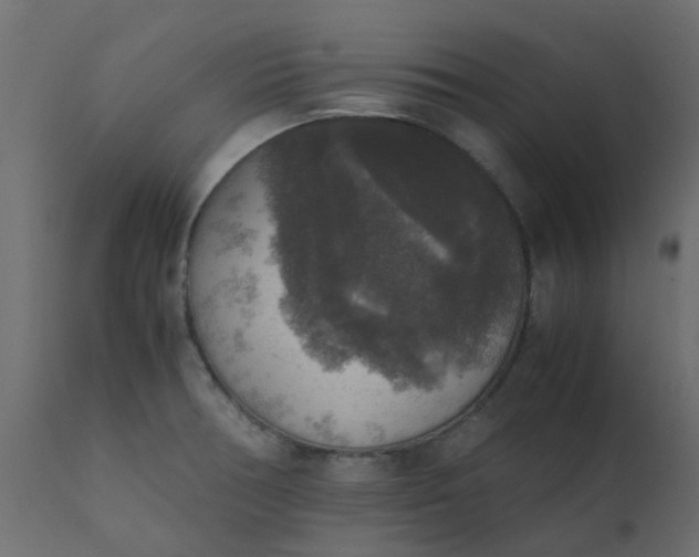 X0000110711378200906261421