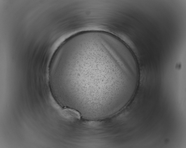 X0000110711380200906261421