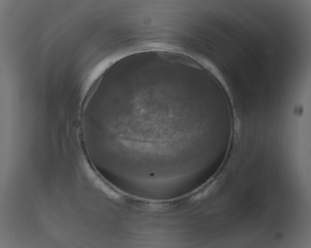 X0000110711381200906261421