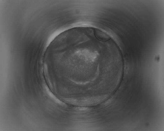 X0000110711382200906261421