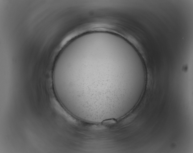 X0000110711384200906261421