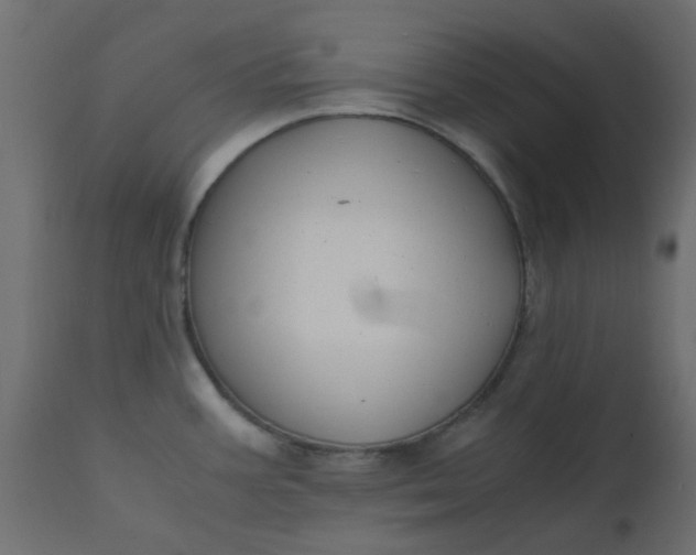 X0000110711387200906261421