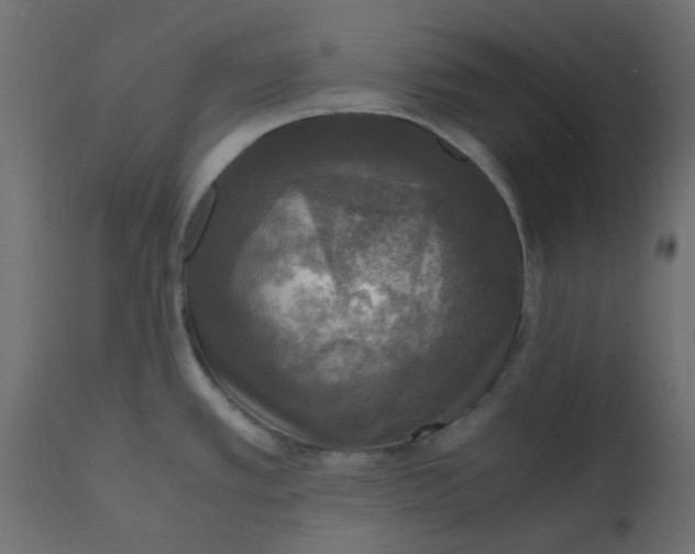 X0000110711389200906261421