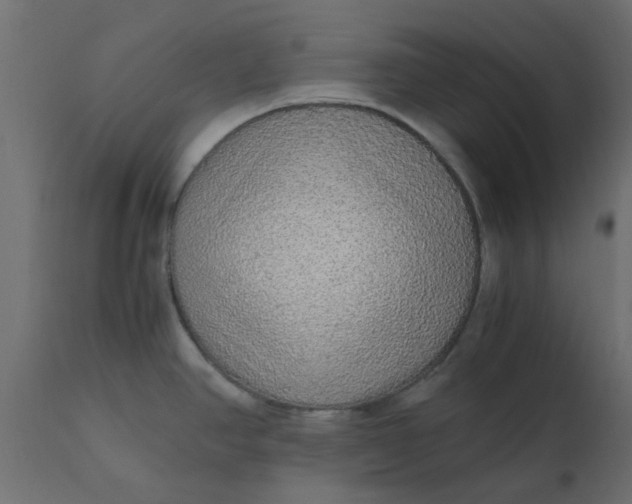 X0000110711390200906261421