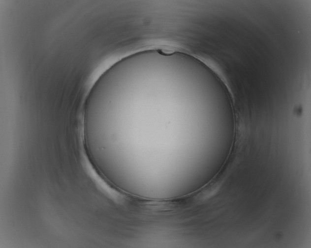 X0000110711391200906261421