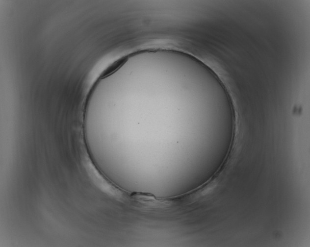 X0000110711392200906261421