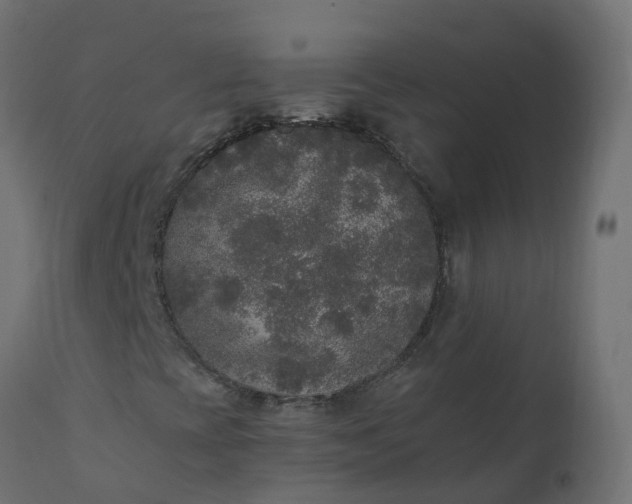 X0000110711393200906261420