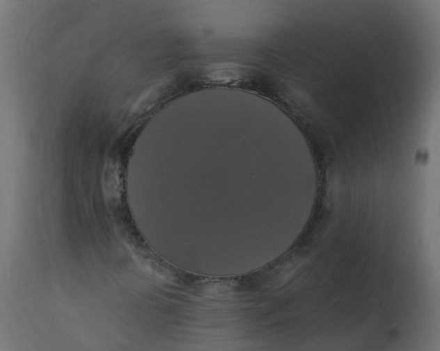 X0000110711394200906261420