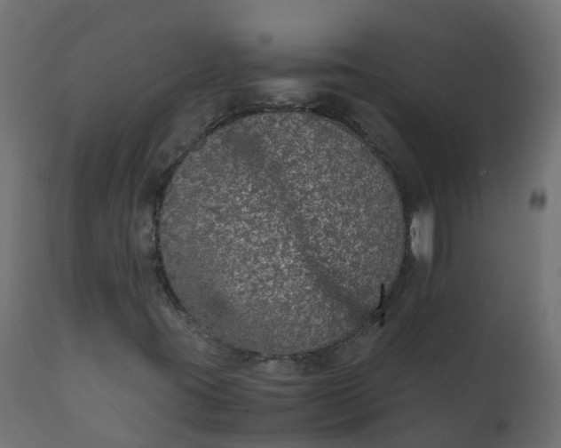 X0000110711395200906261420