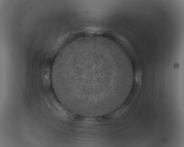 X0000110711396200906261420