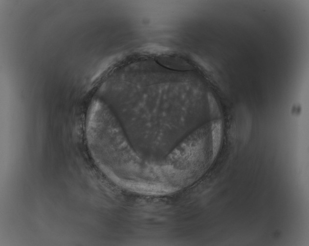 X0000110711397200906261420