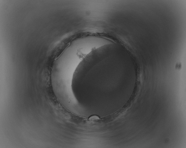 X0000110711398200906261420