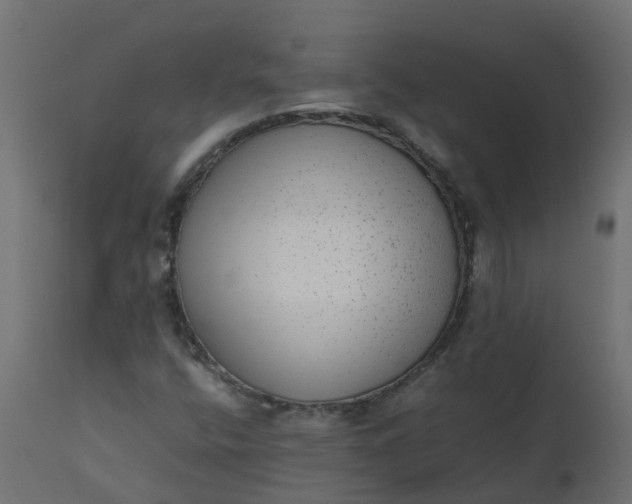 X0000110711400200906261420