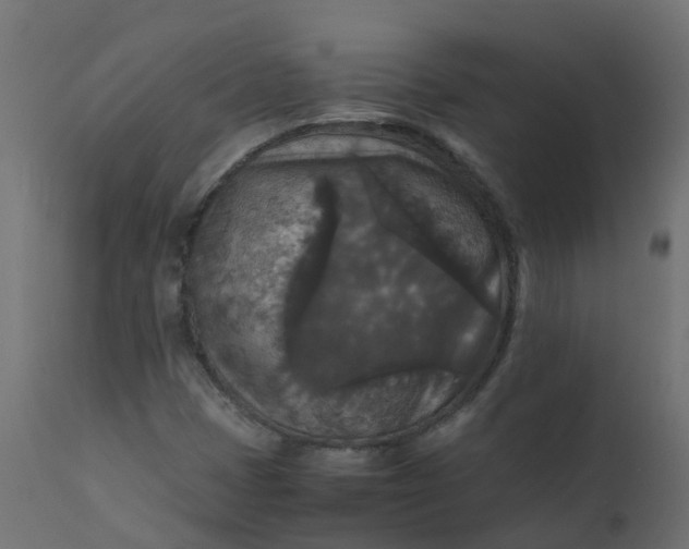 X0000110711401200906261420