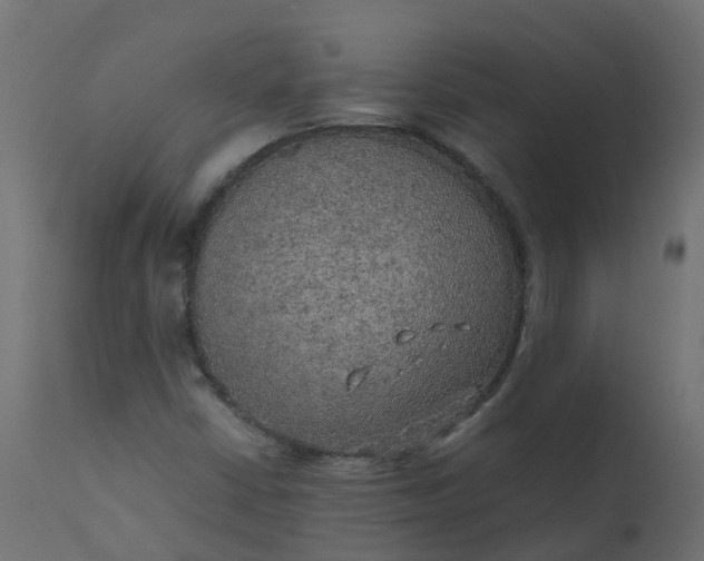 X0000110711402200906261420