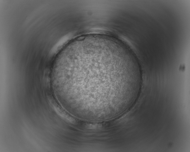 X0000110711403200906261420