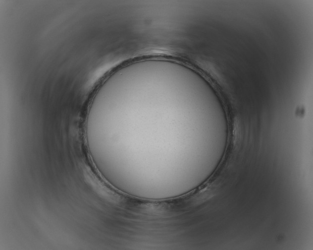 X0000110711404200906261420