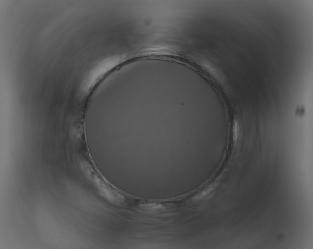 X0000110711405200906261420