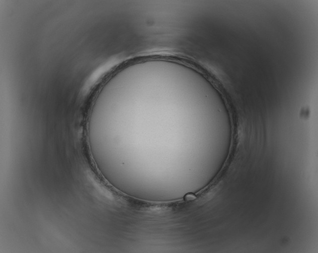 X0000110711406200906261420