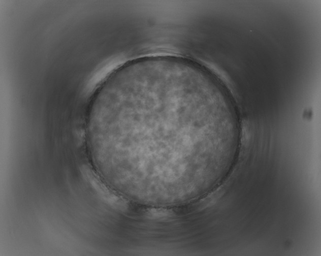 X0000110711407200906261420