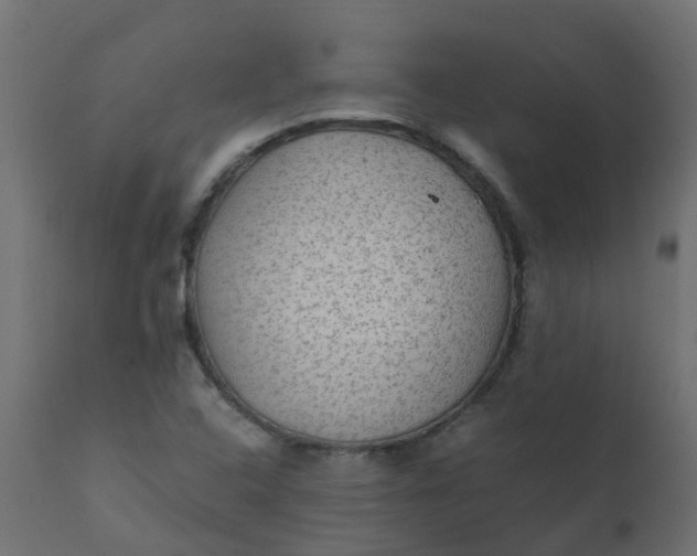 X0000110711408200906261420