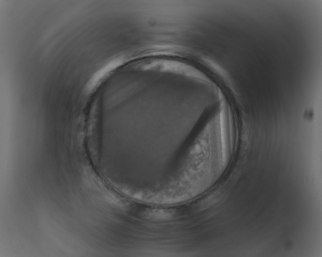 X0000110711411200906261420