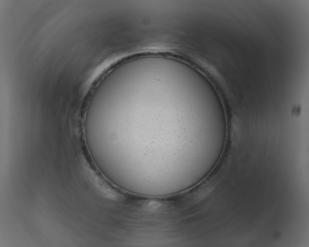 X0000110711412200906261420