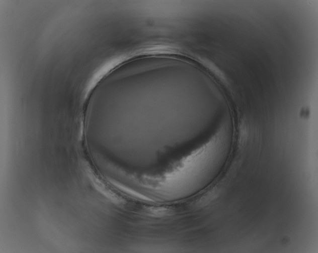 X0000110711413200906261420
