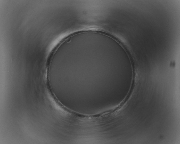 X0000110711414200906261420