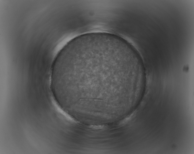 X0000110711415200906261420