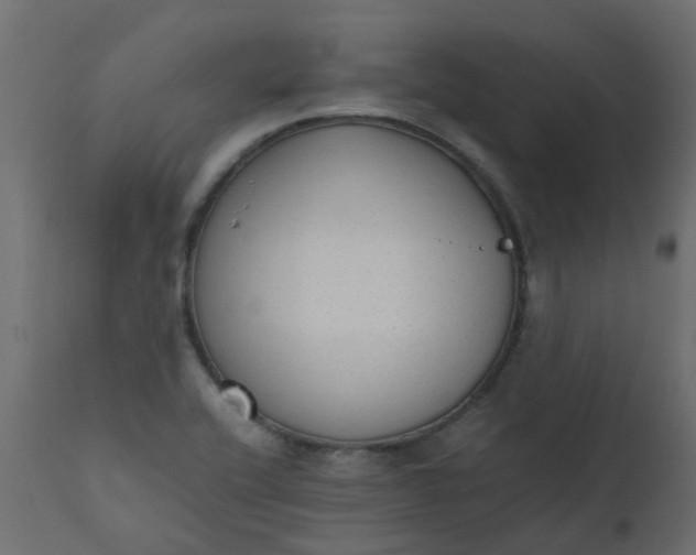 X0000110711416200906261420