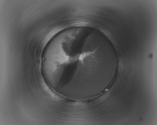 X0000110711418200906261421