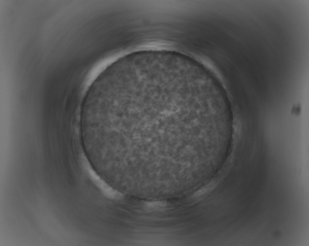 X0000110711421200906261421